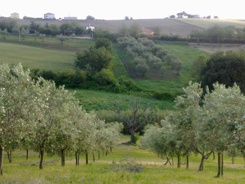 Agriturismo Bio Verde Armonia Montemarciano Exterior foto