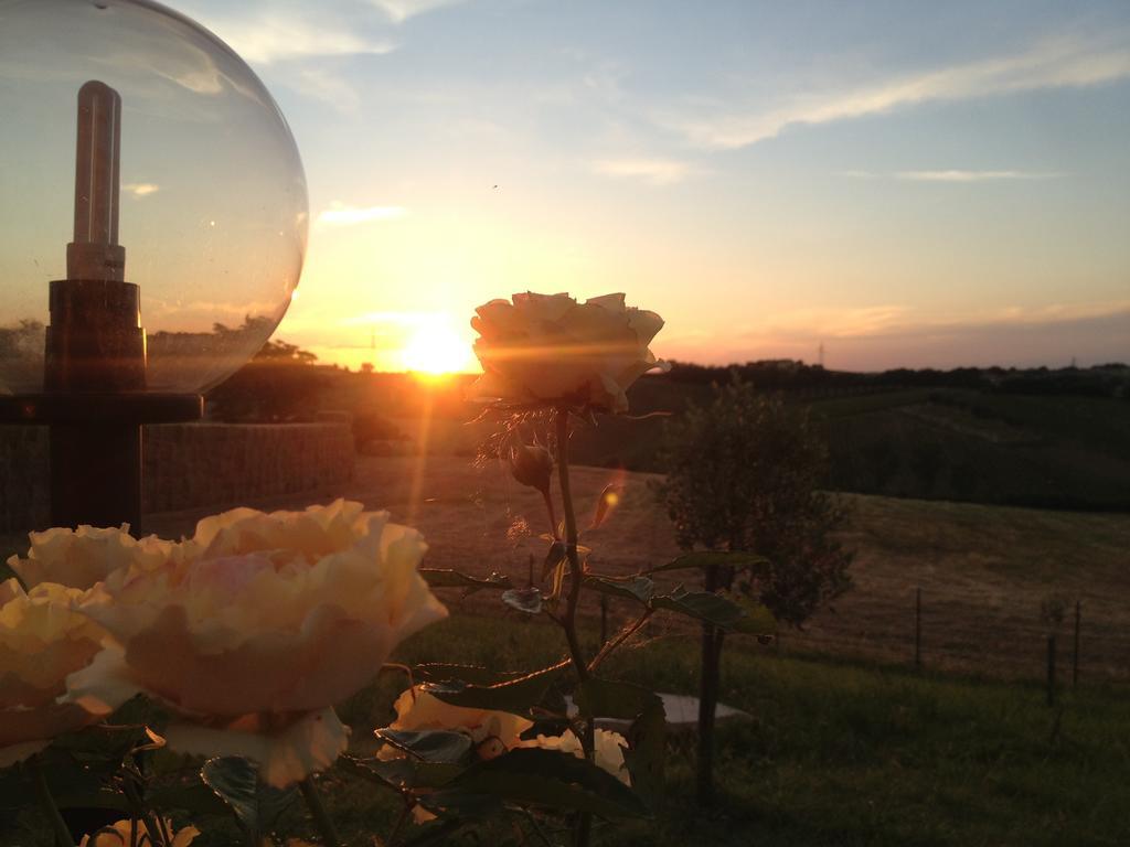 Agriturismo Bio Verde Armonia Montemarciano Exterior foto