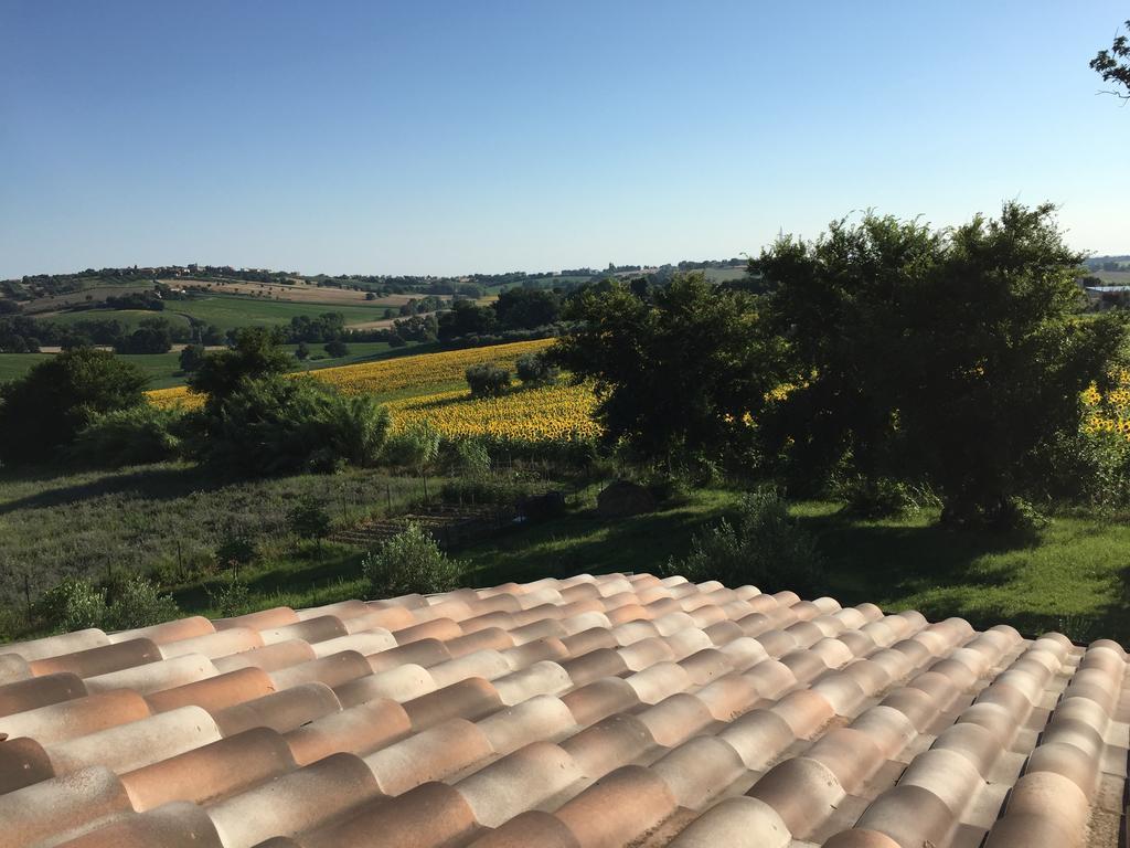 Agriturismo Bio Verde Armonia Montemarciano Exterior foto